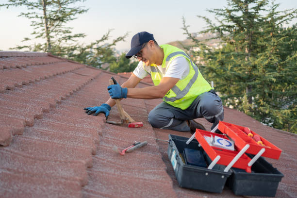 Best Storm Damage Roof Repair  in Childersburg, AL